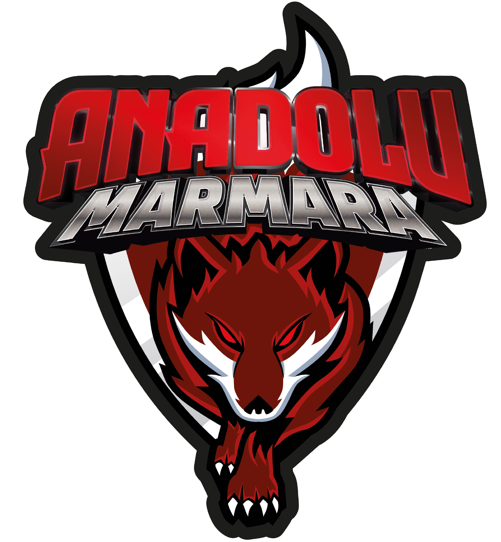 Anadolu Marmara Spor Kulübü