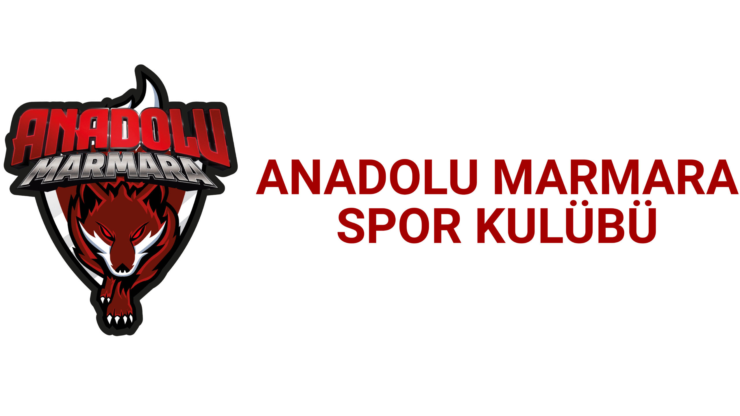 Anadolu Marmara Spor Kulübü